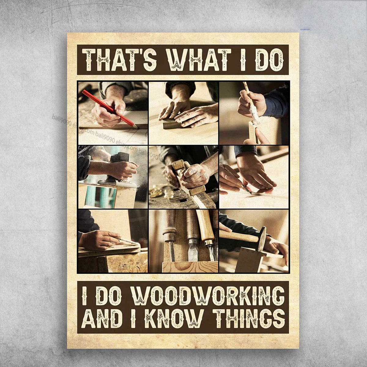 Carpenter Poster, That’s What I Do, I Do Woodworking, And I Know Things