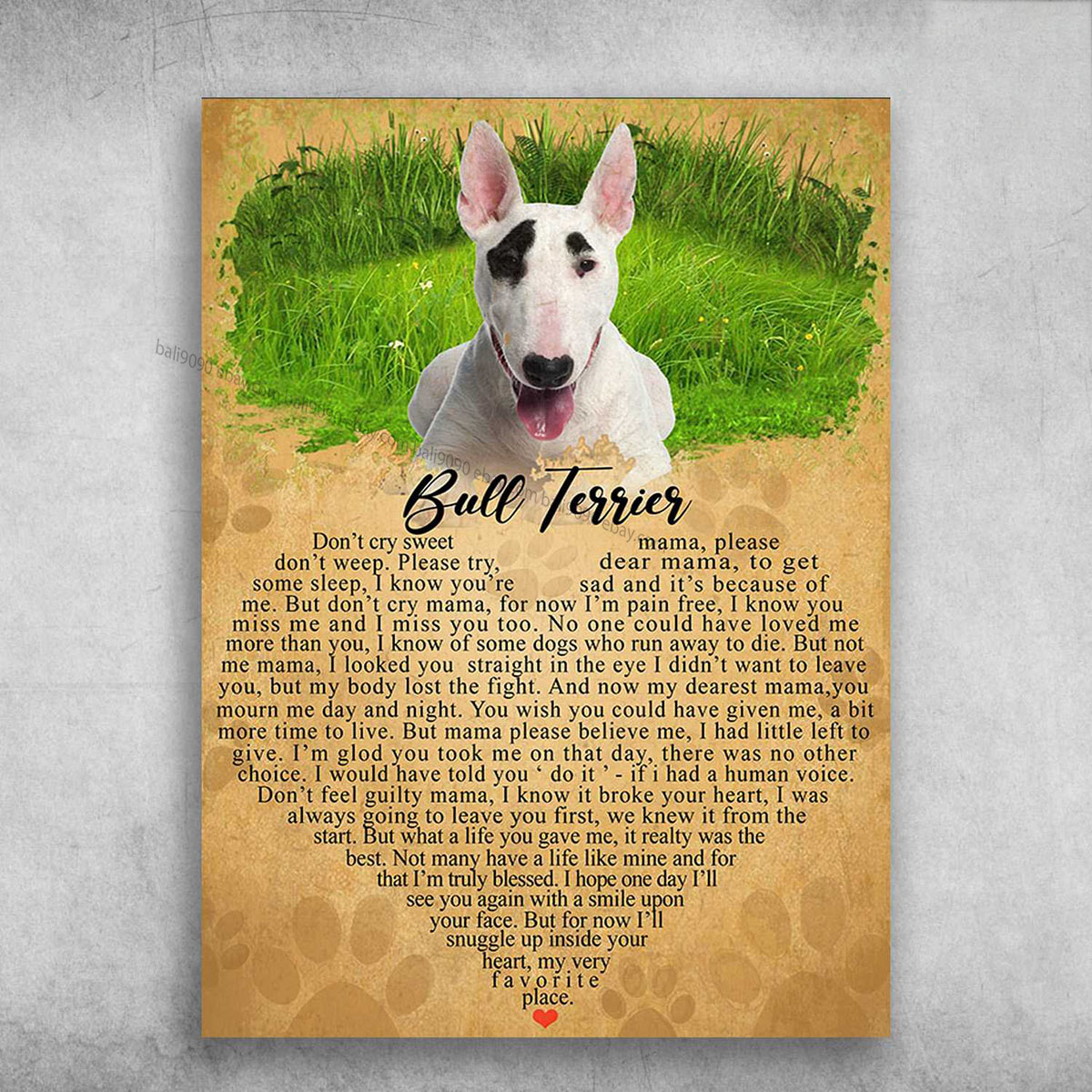 Dog Lover, Bull Terrier Dog, Don’t Cry Sweet Mama, Please Don’s Weep, Please …