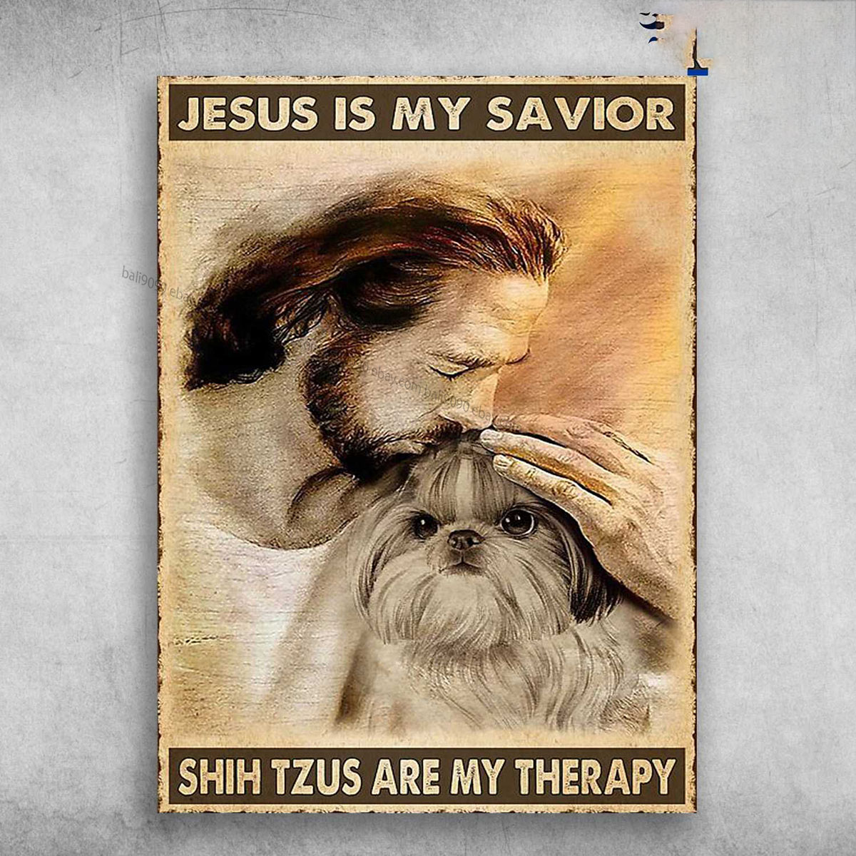 Are Shih Tzu Good Therapy Dogs