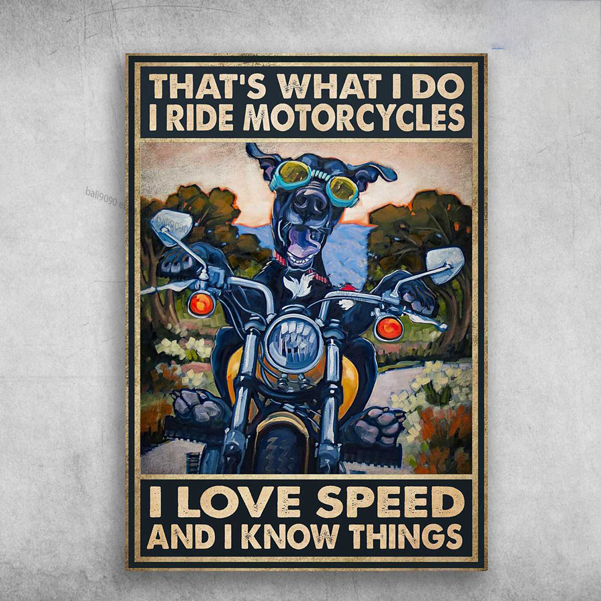 Dog Biker, Motorcycle Riding, That's What I Do, I Ride Motorcycles, I Love Sp...