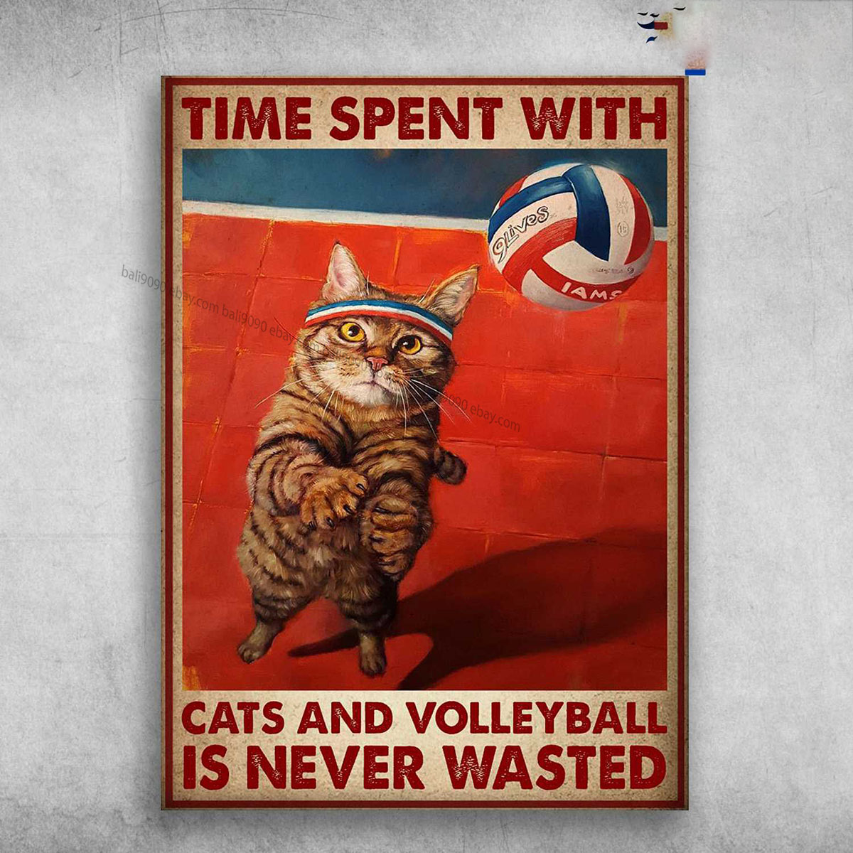 Volleyball Cat – Time Spent With, Cat And Volleyball, Is Never Wasted